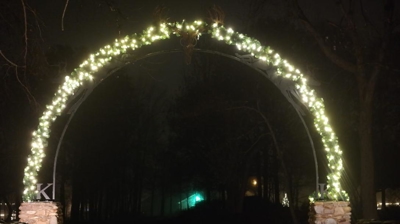 Example of Christmas Lights Photo